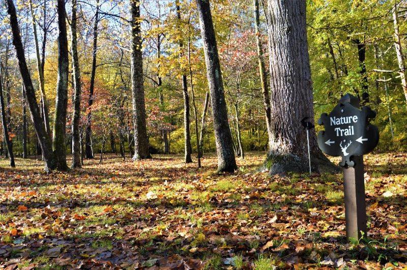 Shadow Mountain Escape Cabin Rentals Luray Exterior foto